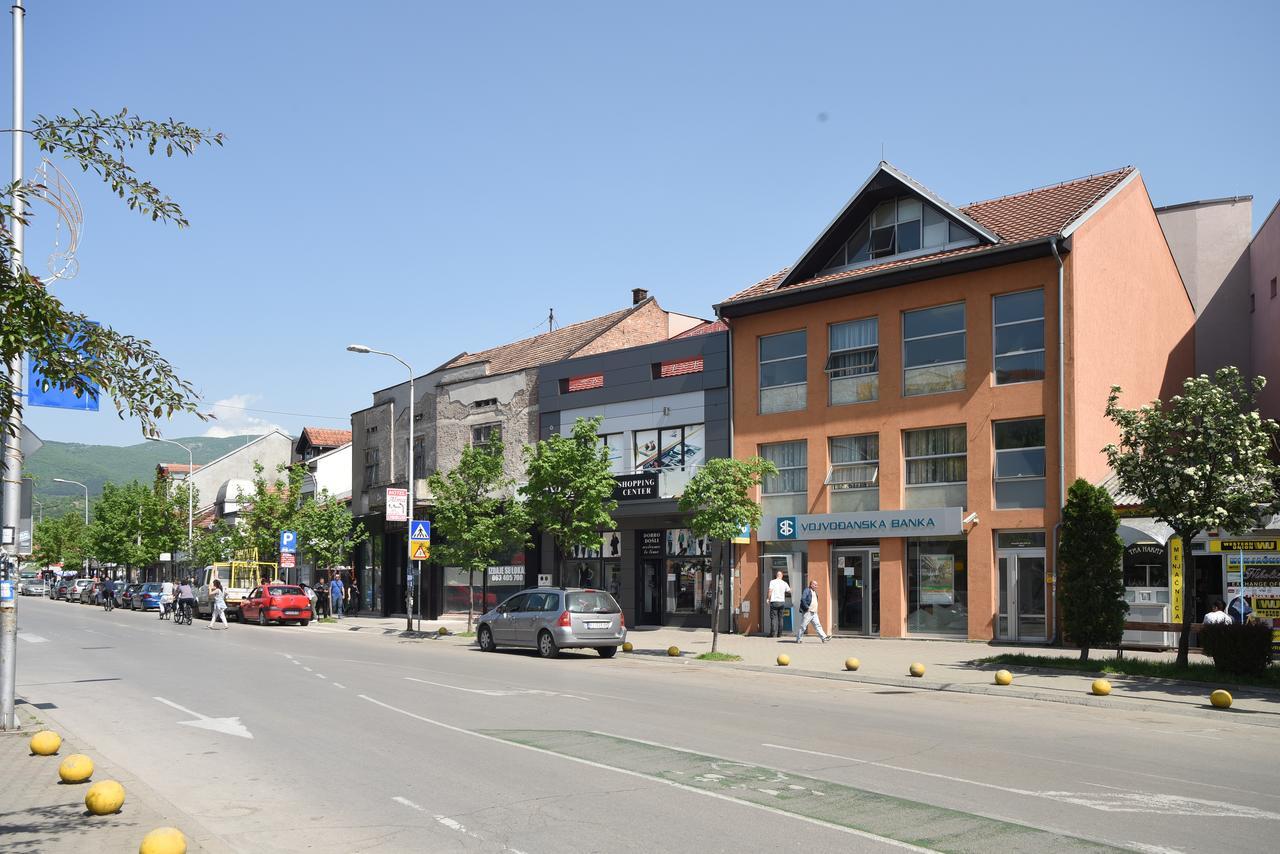 Apartment City Center Pirot